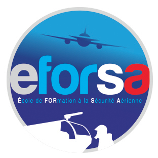 LOGO Eforsa