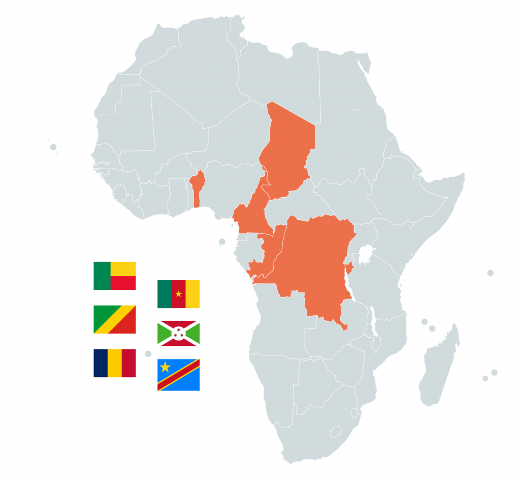 nos partenaires en Afrique Atinaé République du Congo Burundi Benin Cameroun IRD AUF RDC TCHAD