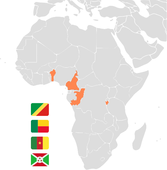 nos partenaires en Afrique Atinaé République du Congo Burundi Benin Cameroun IRD AUF